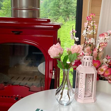 Vagona Tiny House Hotel Ризе Екстериор снимка